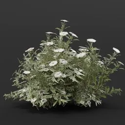 Realistic 3D model of a small aster flower bush for Blender, color-customizable for game and scene design.