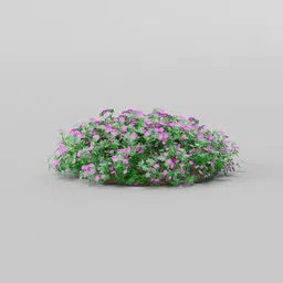 3D Blender model of Geranium Max Frei with carmine red flowers and green leaves for virtual landscaping.
