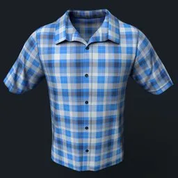 Blue Flannel Button-Up Shirt