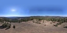 360-degree panoramic HDR image of a serene forest landscape with clear blue skies for realistic lighting in 3D scenes.
