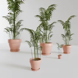 Hoewa - Various shape with GN