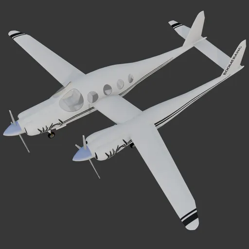 Burt Rutan Boomerang