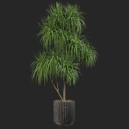 Realistic 3D palm plant model in modern pot, optimized for Blender rendering, ideal for interior visualization.