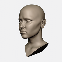 Detailed 3D female head model showing fine sculpting techniques on a simplified mesh, suitable for Blender 3D artists.