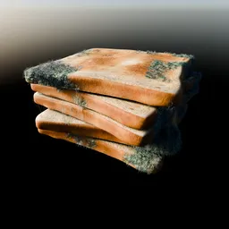Stack Of Slices Of Toasted Bread With Moldy Spots