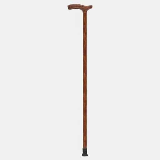 Walking stick