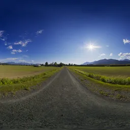 Path by Farm lands Sunny Day