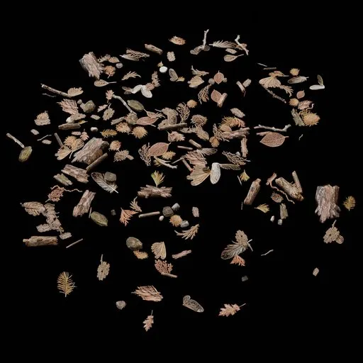 Old Ground Debris