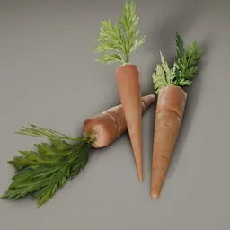 Stylized Carrot