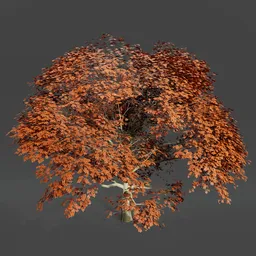 Oak tree animated