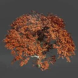 Oak tree animated