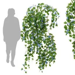 flower Hanging Wall Plant