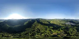 Afternoon high altitude woods