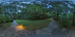 In the woods at night