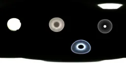 Black White Light Studio