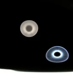 Black White Light Studio