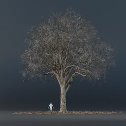 Oak Tree - Tall (Winter)