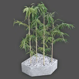 Detailed 3D rendering of a bamboo plant in a pot, optimized for Blender, ideal for nature scenes.