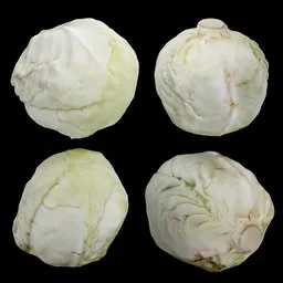 Green Cabbage