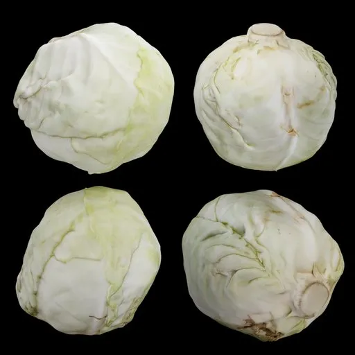 Green Cabbage