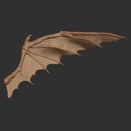 Young Dragon Wing
