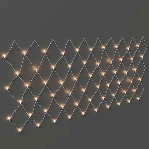 Light Net