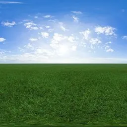 Green grass cloudy blue sky pure sky