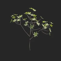 Mangrove Plant + Geometry Nodes + Animation