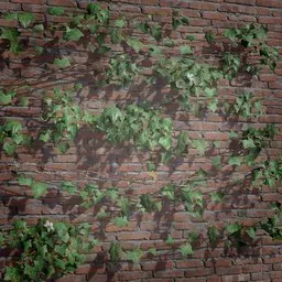 Detailed 3D ivy creeper model on brick wall for Blender, ideal for game assets or enhancing virtual environments.