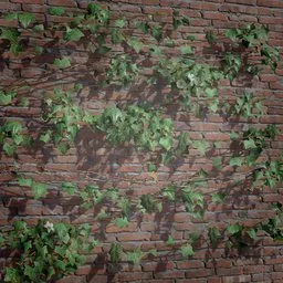 Ivy Creeper Tile 2M 02 01