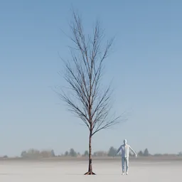 Dry Tree Low Poly Animated