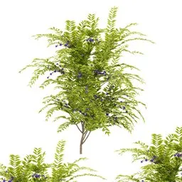 flower bush plant