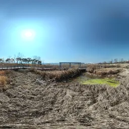 Dry grass clouds bluesky