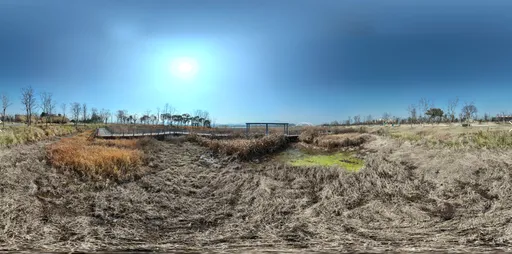 Dry grass clouds bluesky