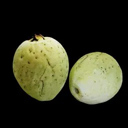 Fresh Guava Fruit