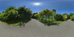 Daytime on asphalt roads