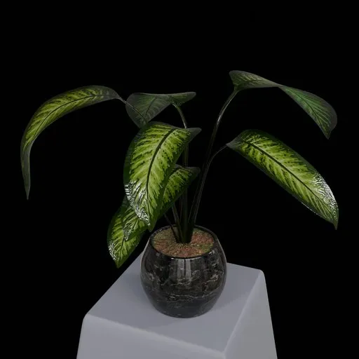 Ornamental plant