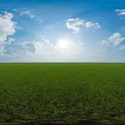 Green grass cloudy blue sky pure sky