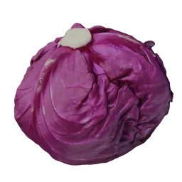 Realistic purple cabbage 3D render, high-quality texture, ideal for Blender graphic projects.