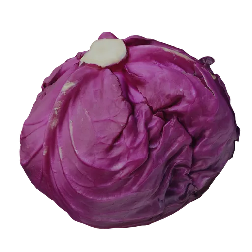 Realistic purple cabbage 3D render, high-quality texture, ideal for Blender graphic projects.