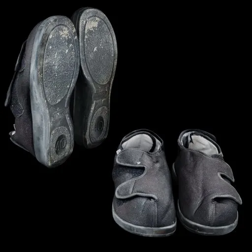 Pair of Velcro Shoe