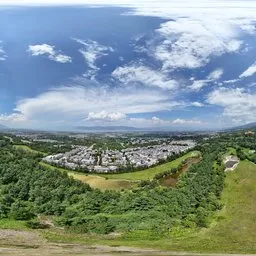 Highsky green forest grass
