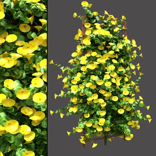 Golden Bloom Trellis