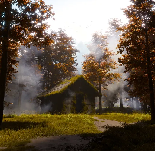 Foggy Woodland Shack
