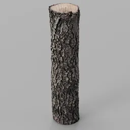 Oak Log remeshed photoscan