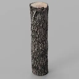 Oak Log remeshed photoscan