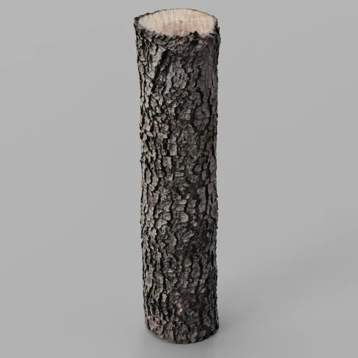 Oak Log remeshed photoscan