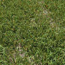 Realistic grass clump