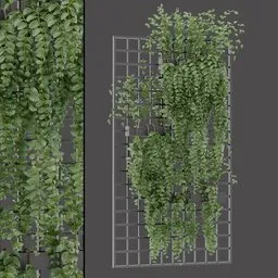 Vertical Hanging Vine Wall