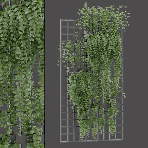 Vertical Hanging Vine Wall